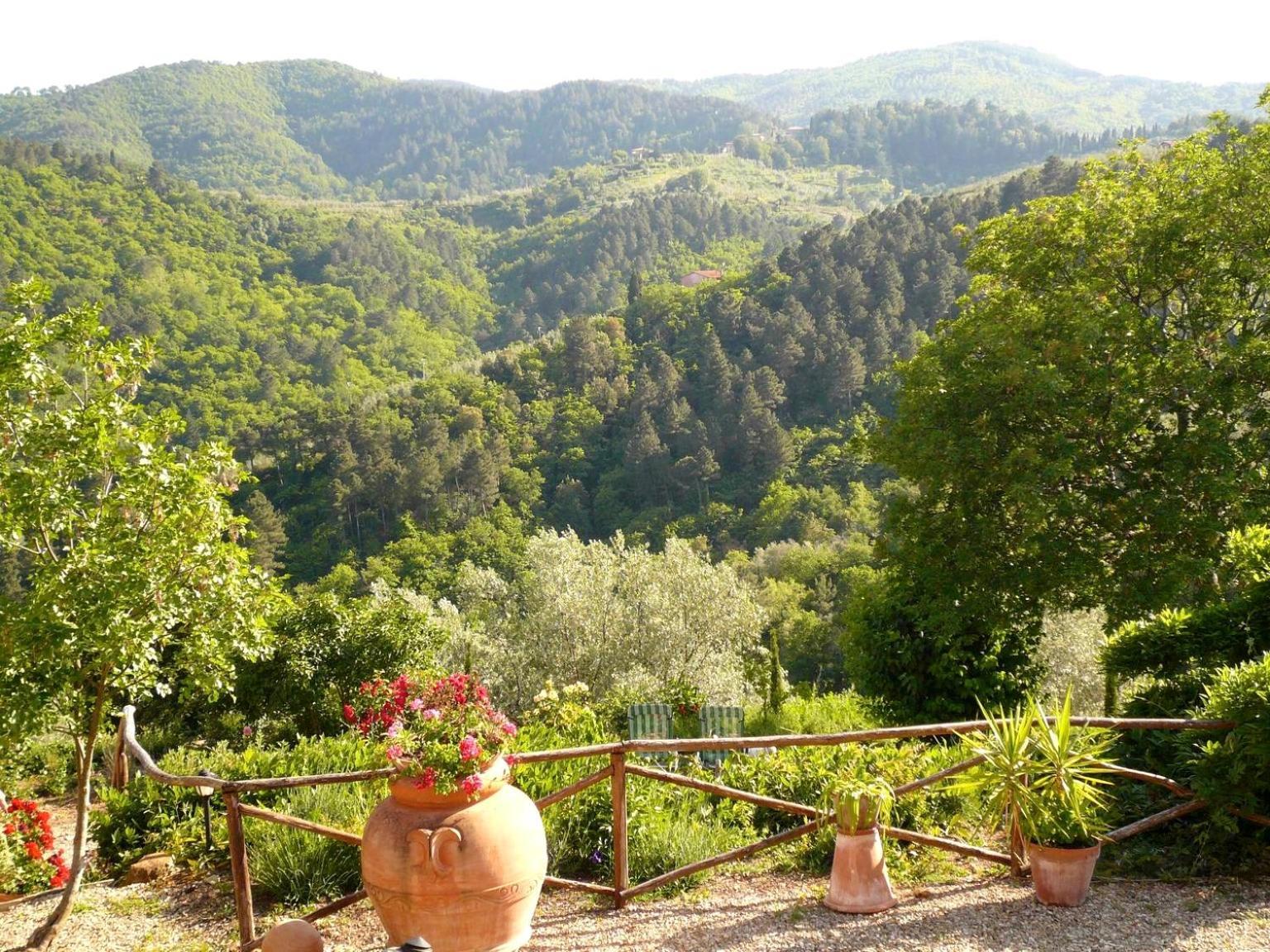 Ventena Vecchia Antico Frantoio Montevarchi Luaran gambar