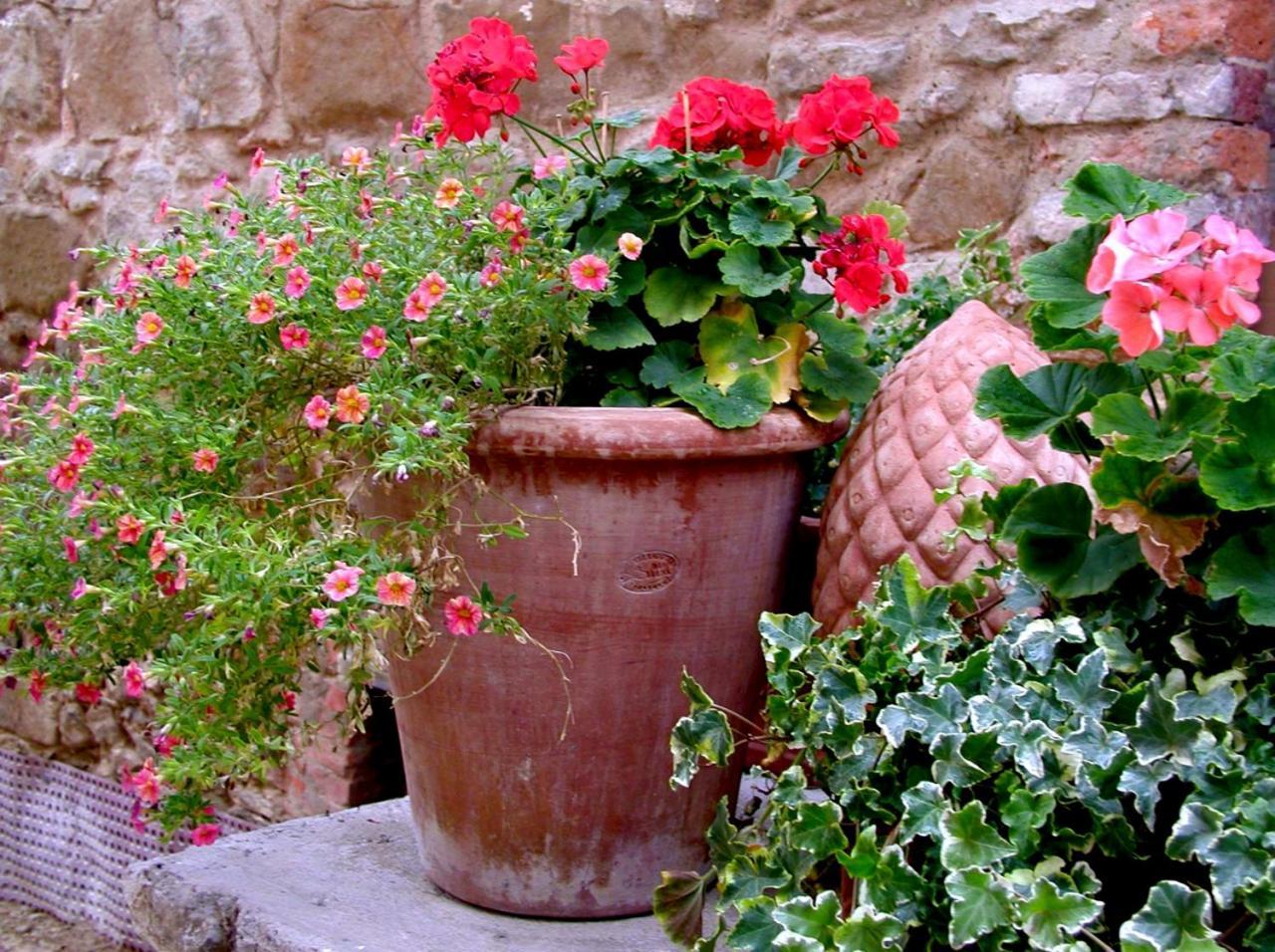 Ventena Vecchia Antico Frantoio Montevarchi Luaran gambar